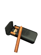text
